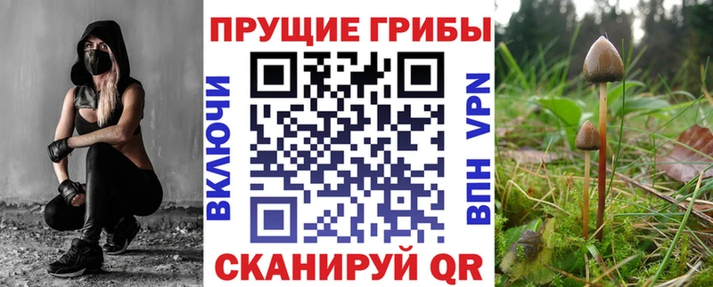 Псилоцибиновые грибы мицелий  Усолье-Сибирское 